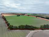 916 Wilson Bend Road - Photo 83