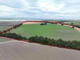 916 Wilson Bend Road - Photo 85