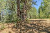 15736 Armstrong Road - Photo 66