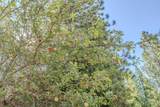 15736 Armstrong Road - Photo 85