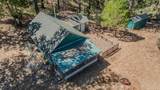 15736 Armstrong Road - Photo 93
