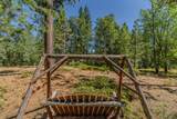 15736 Armstrong Road - Photo 99