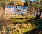 3558 Sheep Ranch Road - Photo 10