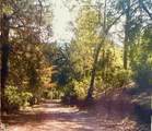 3558 Sheep Ranch Road - Photo 2