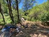 3558 Sheep Ranch Road - Photo 4