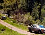 3558 Sheep Ranch Road - Photo 7
