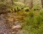 3558 Sheep Ranch Road - Photo 8