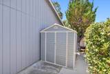 917 Stetson Street - Photo 52