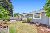 917 Stetson Street - Photo 54