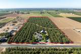 8460 Keyes Road - Photo 3