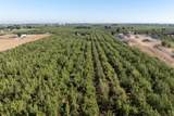 8460 Keyes Road - Photo 43