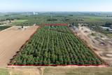 8460 Keyes Road - Photo 47