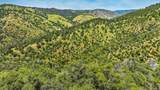 8812 Miwok Trail - Photo 60