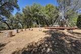 4644 Cosumnes View Trail - Photo 58