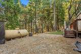 19051 Pine Drive - Photo 50