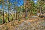 19051 Pine Drive - Photo 52