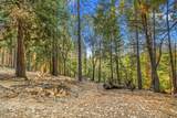 19051 Pine Drive - Photo 53