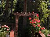 25985 Forest Knoll Court - Photo 43