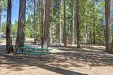 3301 Hazel Street - Photo 67