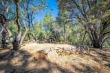 3311 Cascade Trail - Photo 49
