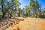 3311 Cascade Trail - Photo 52