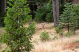 14585 Banner Lava Cap Road - Photo 41