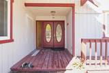 39874 Lilley Mountain Drive - Photo 6