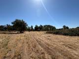 6148 24th Street - Photo 17