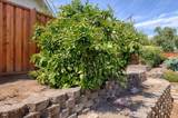 5923 Shadow Oak Drive - Photo 31