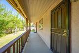 4822 Livoti Avenue - Photo 13