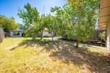 4822 Livoti Avenue - Photo 64