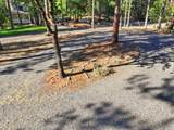 20956 Birchwood - Photo 32