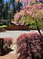 13216 Dogwood Lane - Photo 72