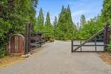13216 Dogwood Lane - Photo 73