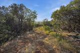 16875 Wolf Mountain Road - Photo 48