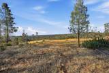 16875 Wolf Mountain Road - Photo 51
