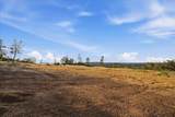 16875 Wolf Mountain Road - Photo 53