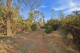 16875 Wolf Mountain Road - Photo 54