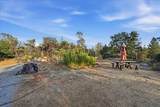 16875 Wolf Mountain Road - Photo 57