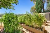 44703 El Macero Drive - Photo 61
