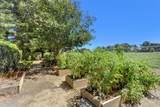 44703 El Macero Drive - Photo 62