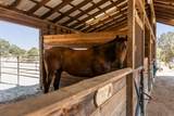17761 Grizzly Bear Drive - Photo 19