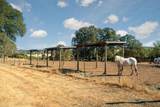 17761 Grizzly Bear Drive - Photo 29