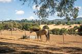 17761 Grizzly Bear Drive - Photo 30