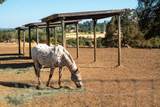 17761 Grizzly Bear Drive - Photo 31