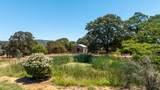 17761 Grizzly Bear Drive - Photo 58