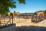 3206 Gillam Road - Photo 36