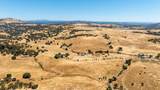 3206 Gillam Road - Photo 43