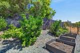 3616 Mallorca Court - Photo 65