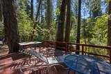 12625 Zeibright Road - Photo 16